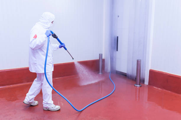 Best House Exterior Washing  in Hempstead, TX